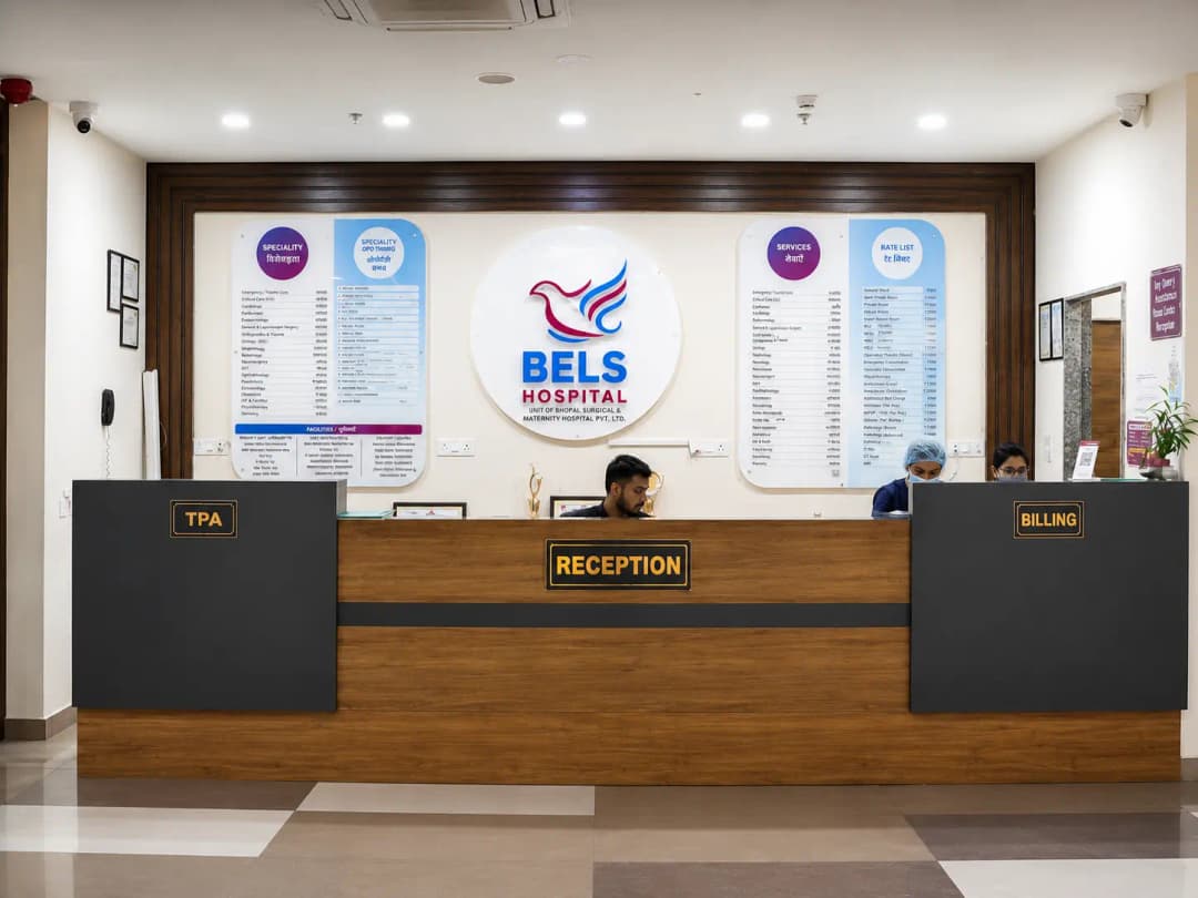 Modern Reception