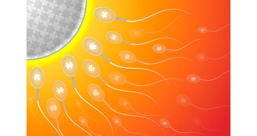 IVF & Fertility