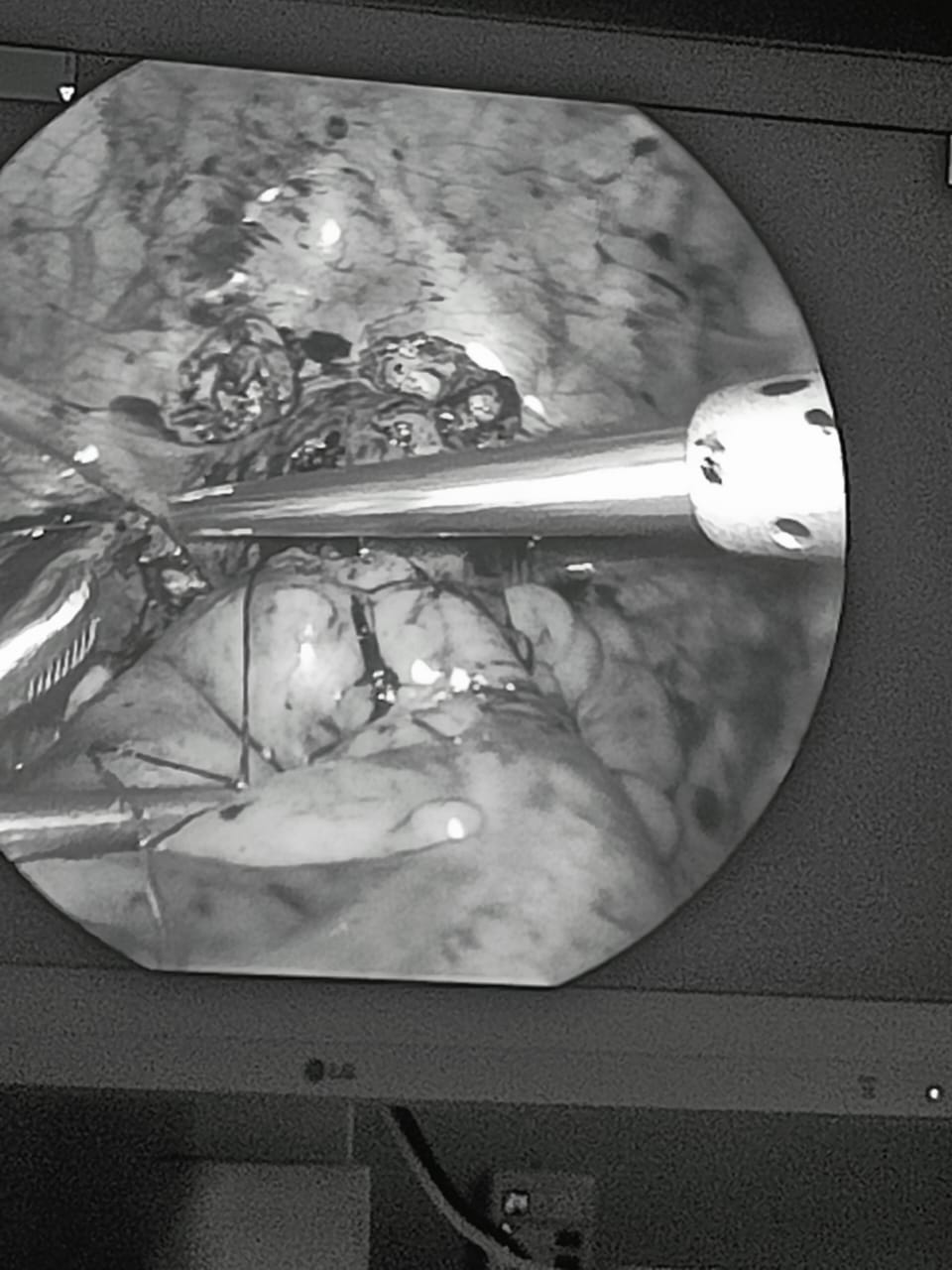 Gallery image 7